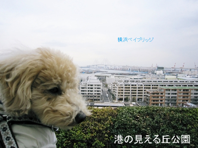 BlogPaint