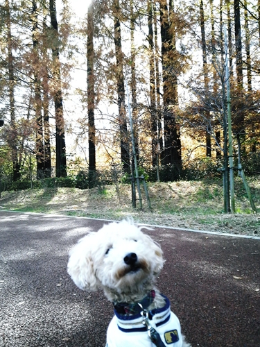 P1000007_R