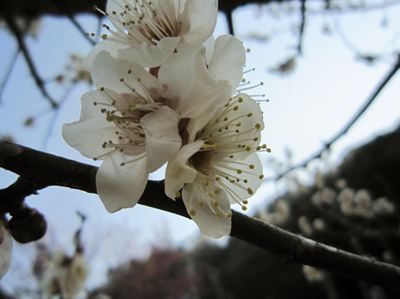 IMG_2790_R