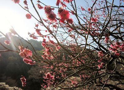 IMG_2784_R