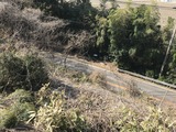 IMG_6347