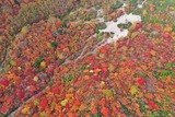 DJI_0063