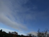 IMG_8098