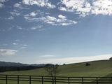 IMG_8766