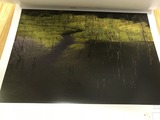 IMG_E8705