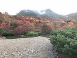 IMG_8082