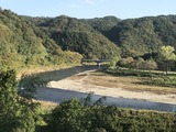 IMG_9347