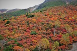 DJI_0097