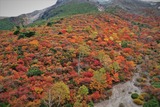 DJI_0096