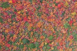 DJI_0060