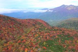 DJI_0085