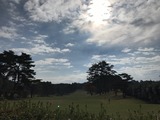 IMG_9833