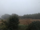 IMG_9857