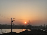 IMG_7541