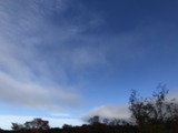 IMG_8103
