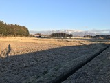 IMG_5779