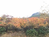 IMG_8079