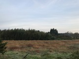 IMG_8686