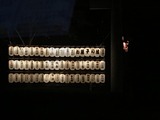 IMG_7871