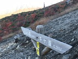 IMG_8061