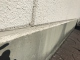 IMG_9548