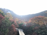 IMG_8140