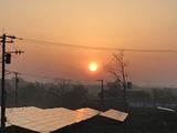 IMG_7542