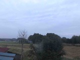 IMG_8733