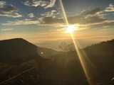 IMG_7929