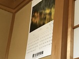 IMG_9854
