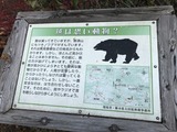 IMG_8075
