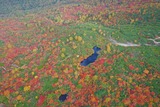 DJI_0070