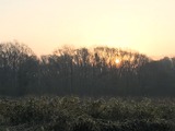 IMG_7550