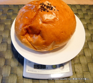 2010�ѥ�ɥ륢��2