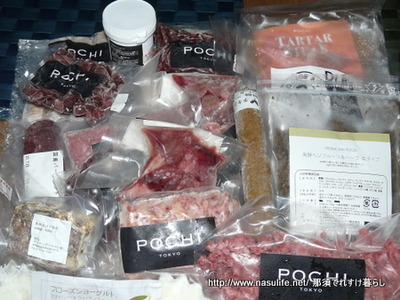 2010POCHI夏の福箱フローズン1