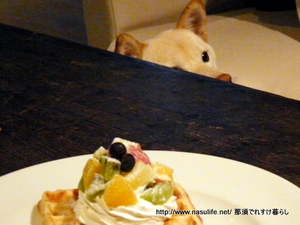 真冬のミルフォニー+DOG8