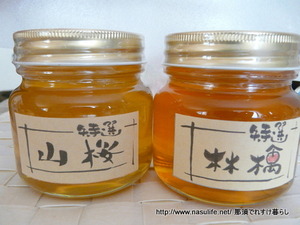 Bee's labo��ˬ1