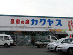 �����䥹1