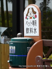 ���ܾ��Ҿ�ߥ�ԡ��˥�����3