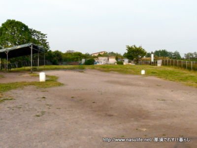 根崎公園ドッグラン2