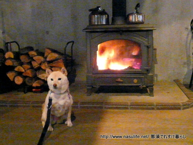 真冬のミルフォニー+DOG5