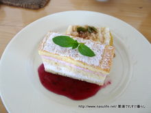 函館犬カフェ5