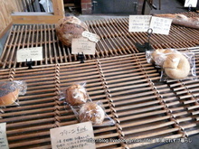 NAOZO BREAD5