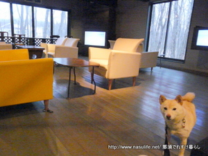 ���ߤΥߥ�ե��ˡ�+DOG4