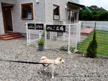 peache ピーチェ3