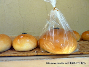 2010�ѥ�ɥ륢��1