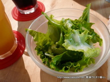 1009DOGDEPTドッグカフェ3