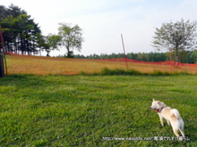 ����⸶�Ҿ�4