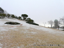 雪降る那須野が原公園3