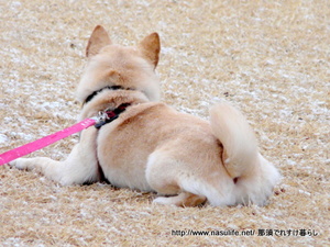 ��ߤ�����������13